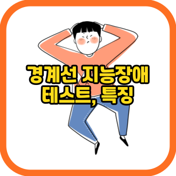 경계선 지능장애 테스트, 특징