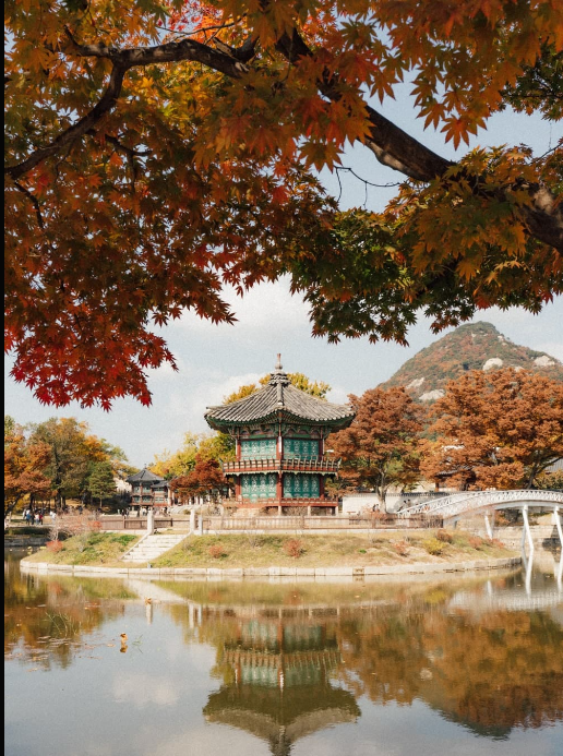 2025 전국 마라톤일정 총정리! 상반기부터 해외까지 한눈에