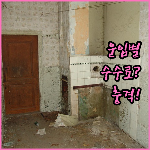 라오항공 취소 수수료 운임 종류 따라..
