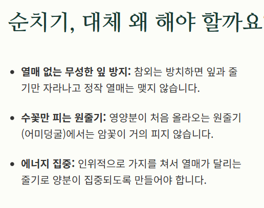 참외 순치기 방법