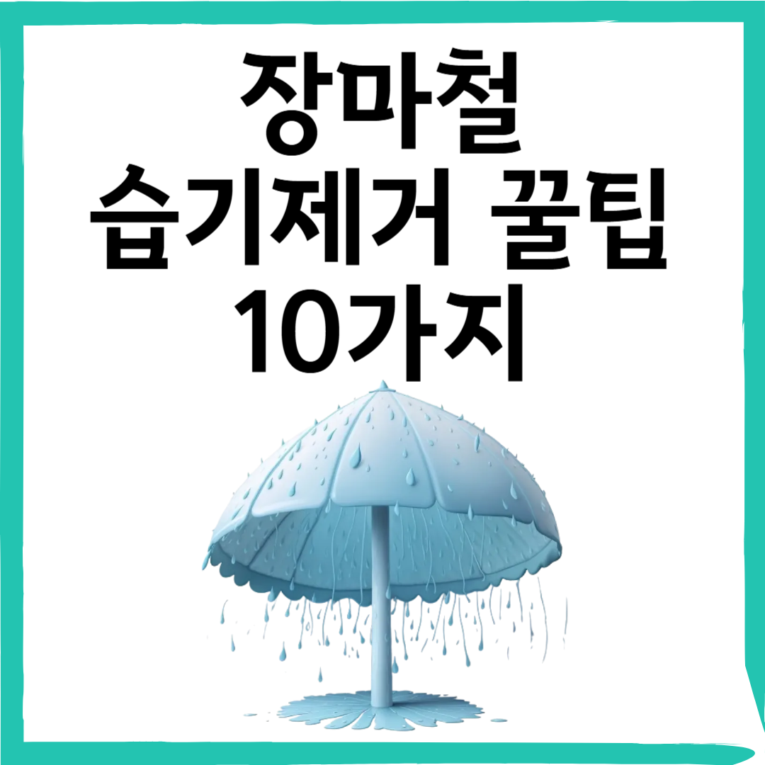 장마철 습기 제거 꿀팁 10가지! 곰팡이·냄새 걱정 끝!