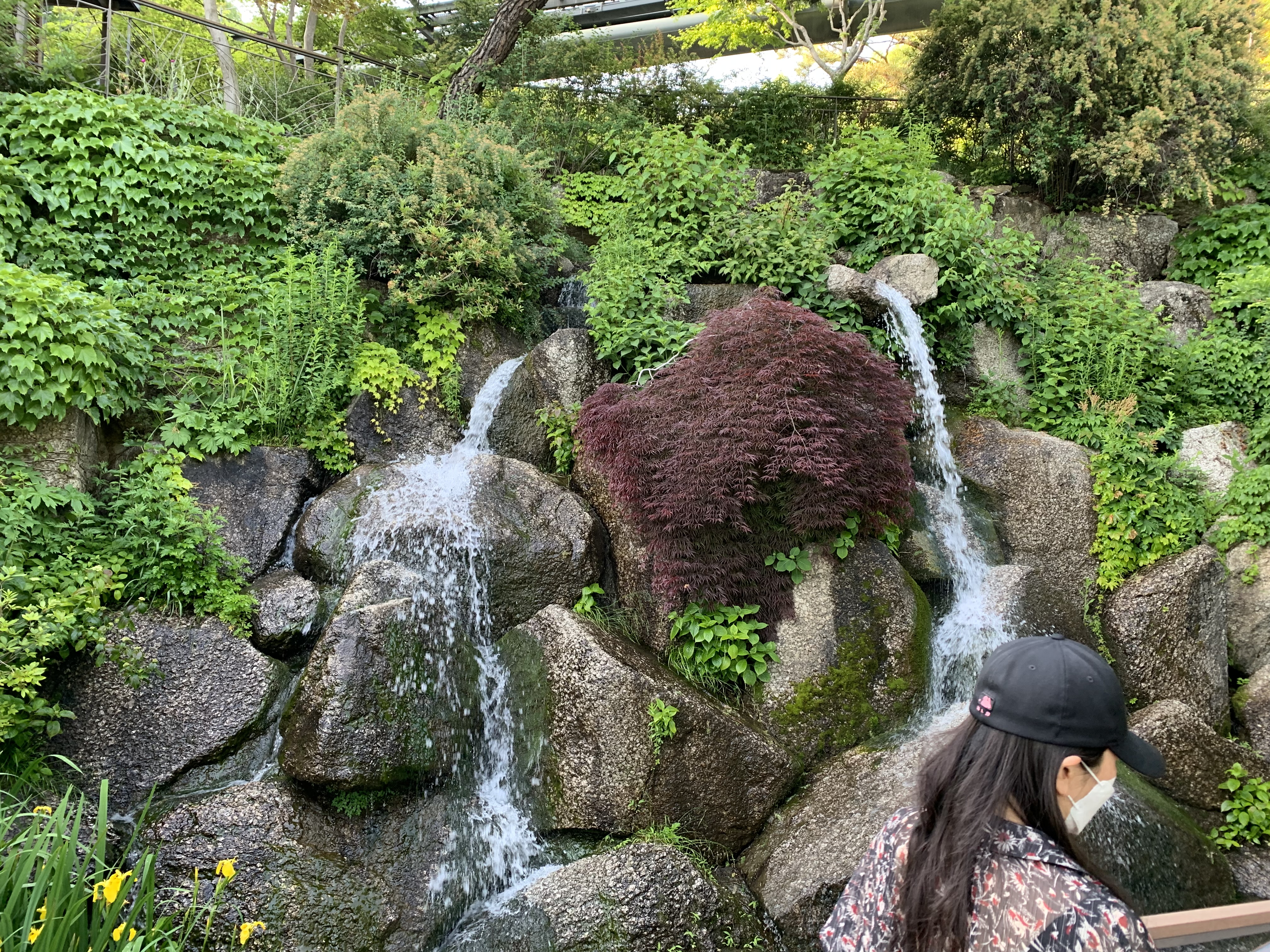 화담숲 단풍 절정시기 예매 꿀팁 