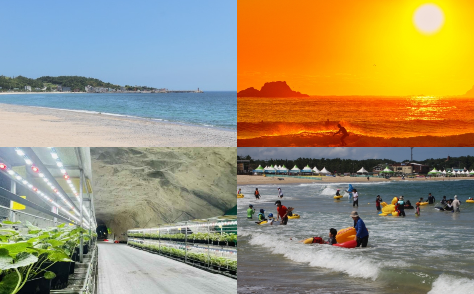 여름휴가지 추천