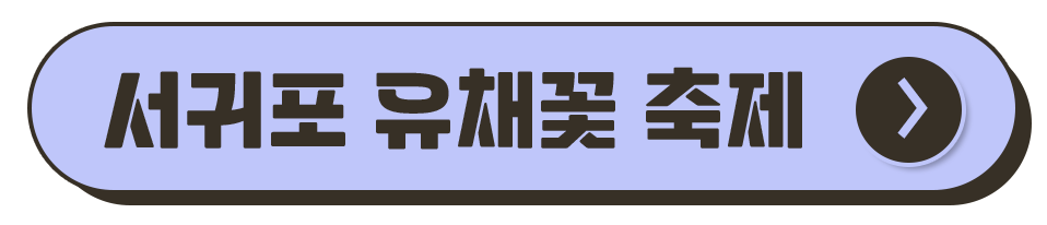 제주도 축제