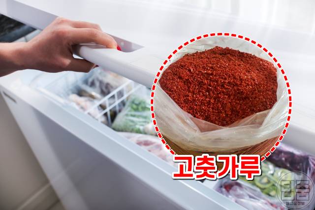 고춧가루 김치냉장고 보관하면 좋은 음식품,팁줌