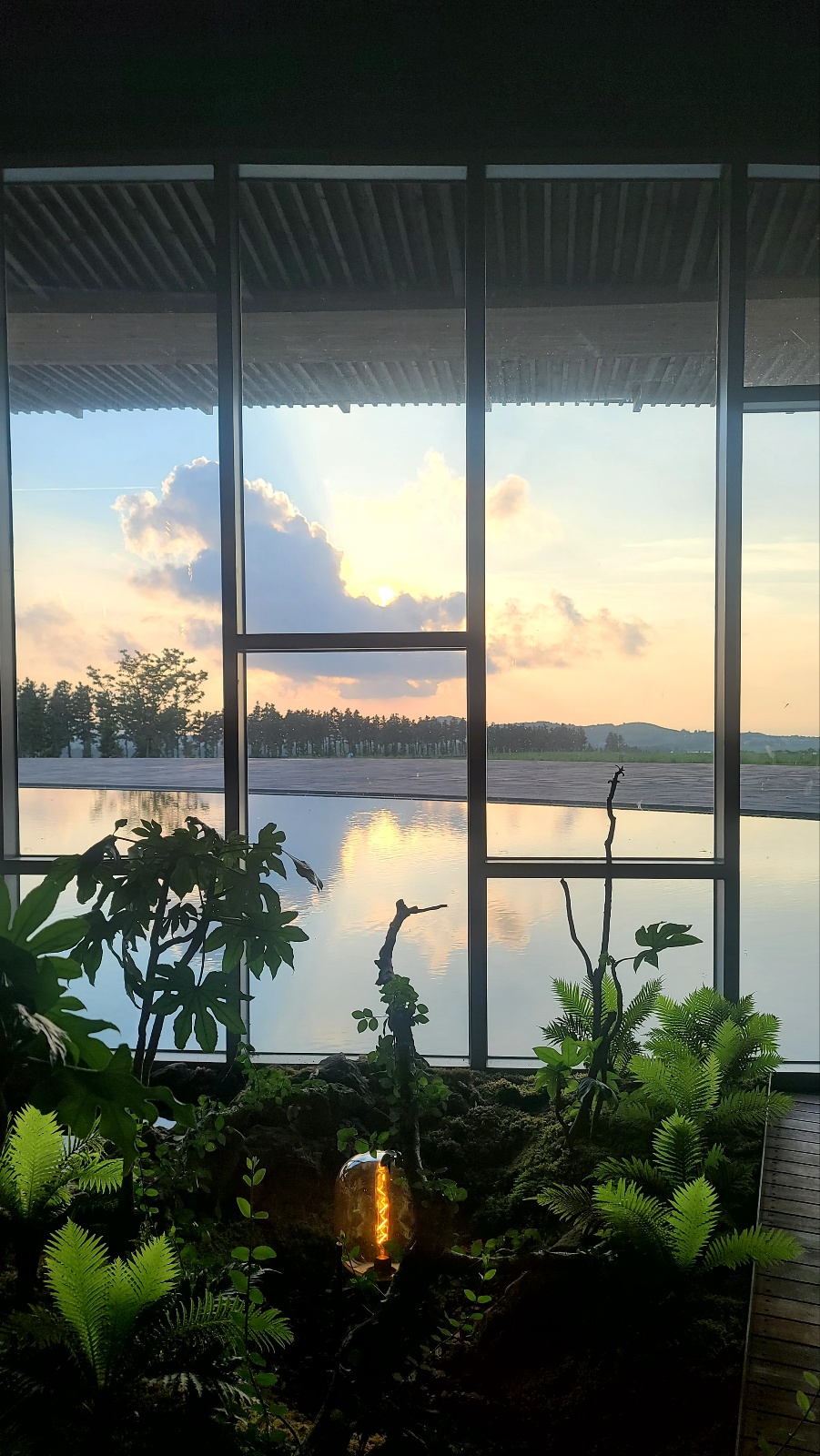 제주당에서 바라본 저녁노을