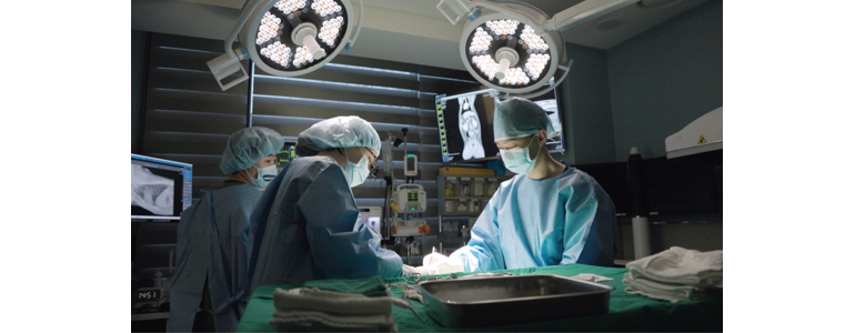 서울 동작구 동물병원