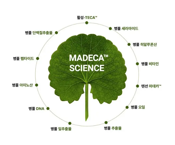 센텔리안24 타임리버스