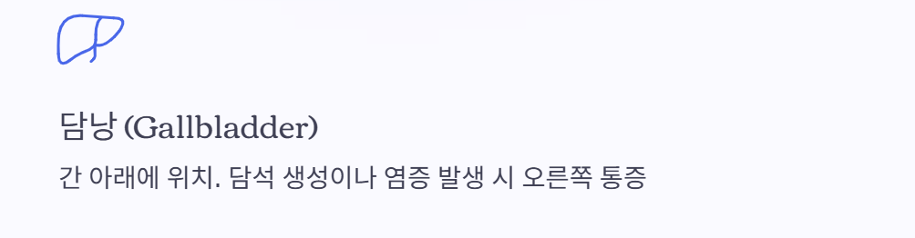 오른쪽 옆구리 통증 의심되는병