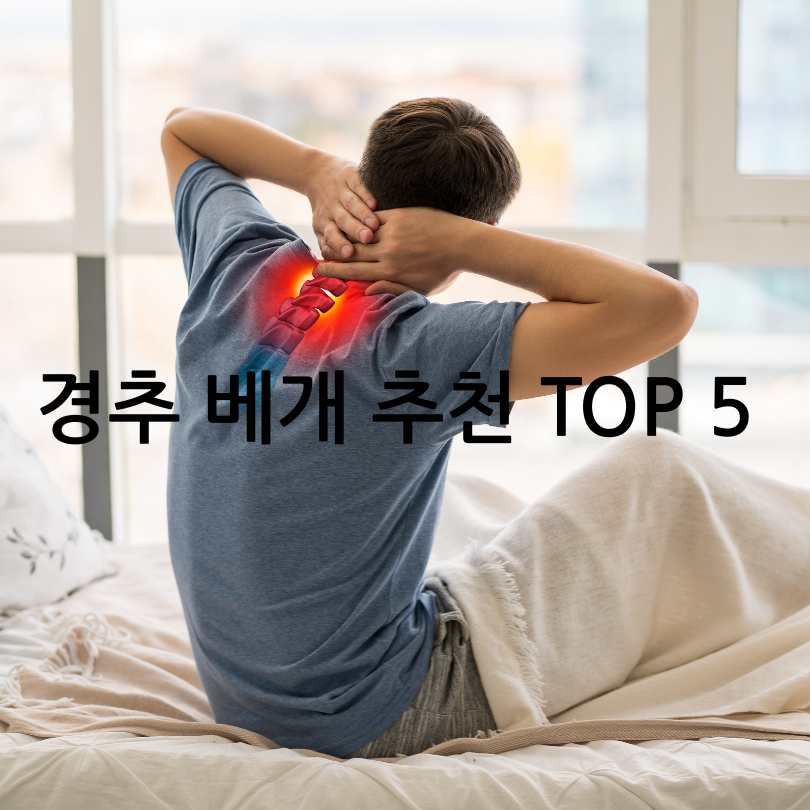 목디스크, 경추 살리는 기능성 베개 추천