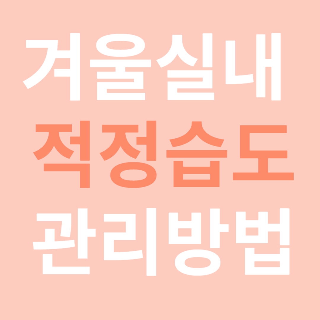 겨울실내 적정습도 관리방법