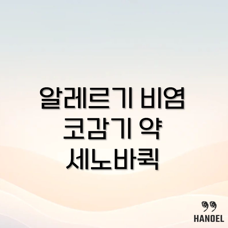 세노바퀵