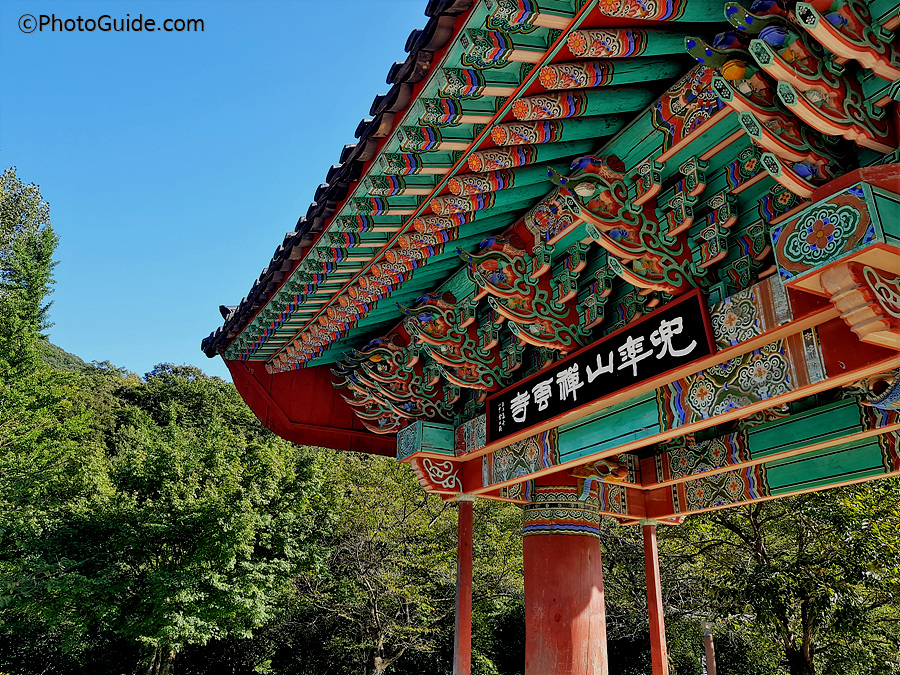 선운사