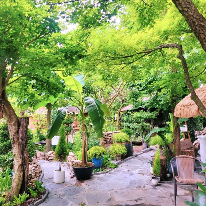 생방송오늘저녁 정읍 정원 식물원 수목원 민간정원 가든 카페