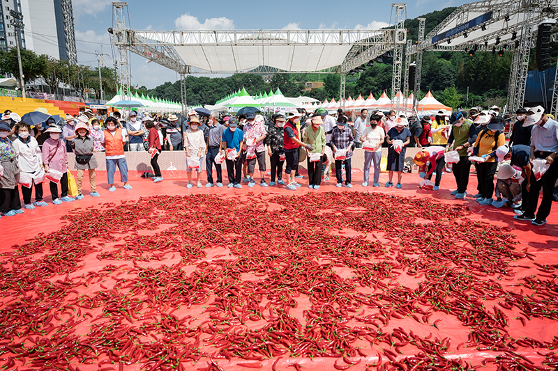 청양고추구기자 문화 축제