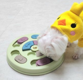 강아지 분리불안 퍼즐 장난감 노즈워크 장난감