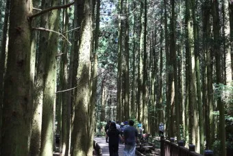 걷기 좋은 명품 숲길 50선 전국 서울 경기_8