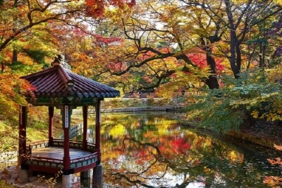 서울-가을-단풍-명소-창덕궁-후원
