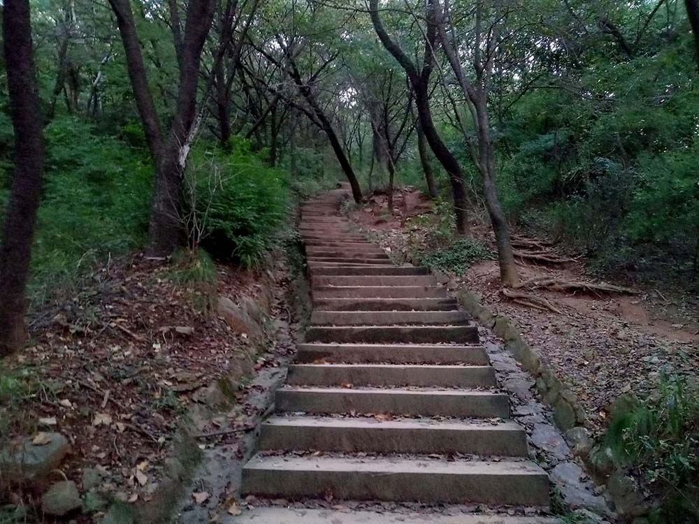 한화건설 포레나도서관 걷기기부챌린지