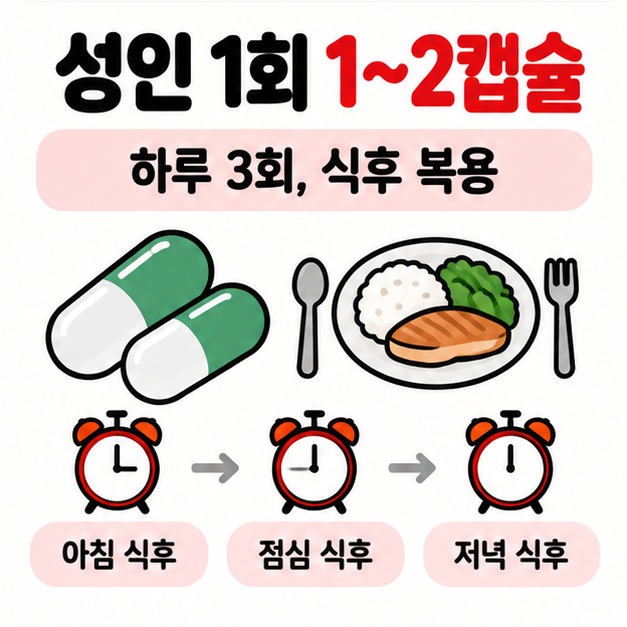 성인 1회 1부터 2캡슐 하루 3회 식후 복용이라는 다제스캡슐 복용법을 보여주는 카드