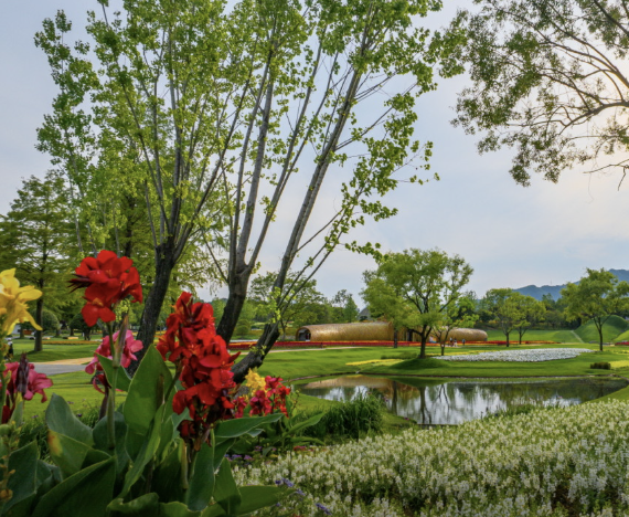 2025 추석연휴 전라남도 가볼만한 곳 BEST 5