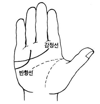 반항선이 감정선 위로 올라간 손금