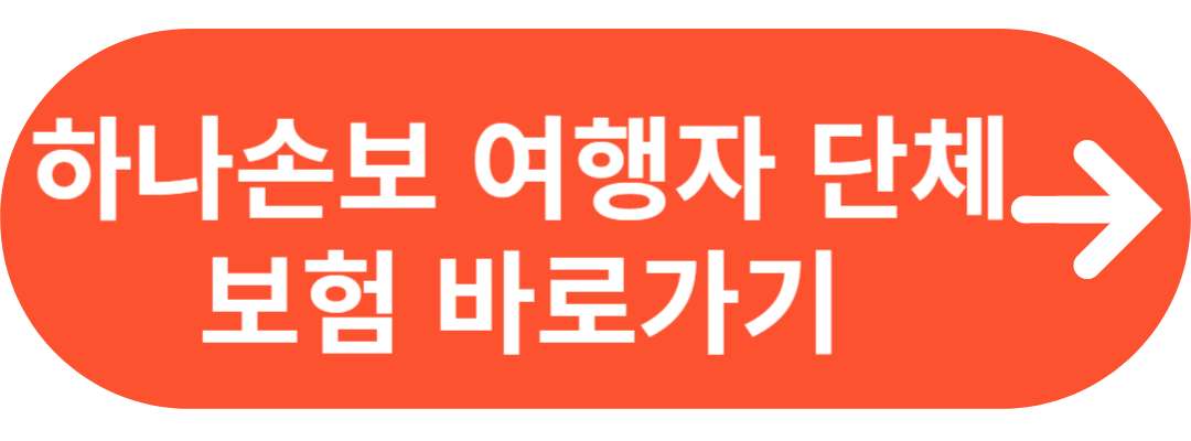하나손보 국내여행자 단체보험
