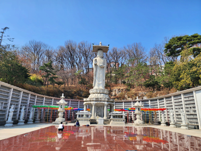 2025. 4. 19. 봉은사 연등제 야경 산책 후기 (겹벚꽃, 라일락, 홍매화 개화상황 포함)