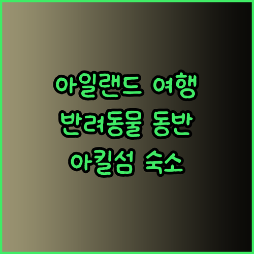 반려동물과 함께 아일랜드 여행? 아킬