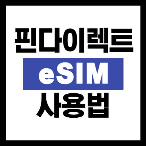 핀다이렉트-esim-사용법