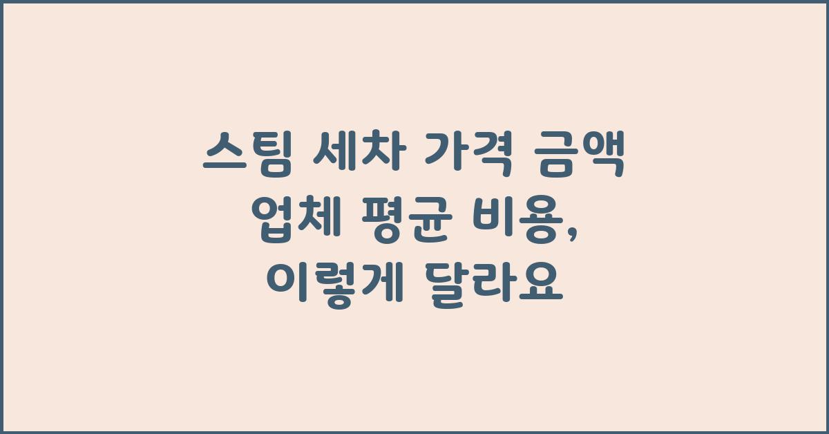 스팀 세차 가격 금액 업체 평균 비용