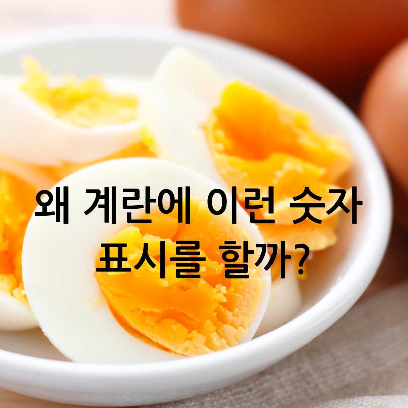 계란에 찍힌 번호&amp;#44; 계란 숫자 표시의 의미