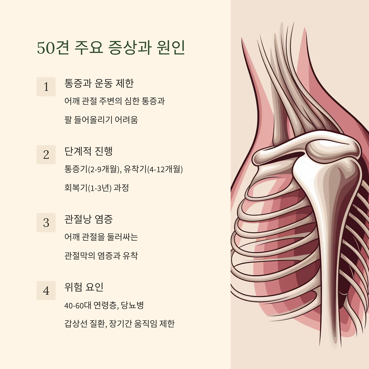 50견을 다스리는 자연요법