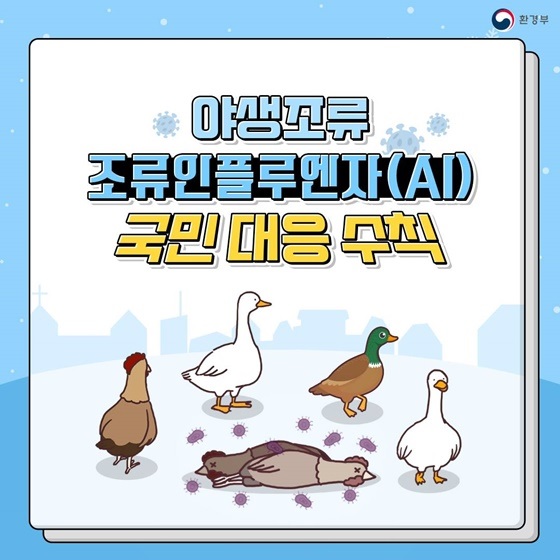 조류인플루엔자