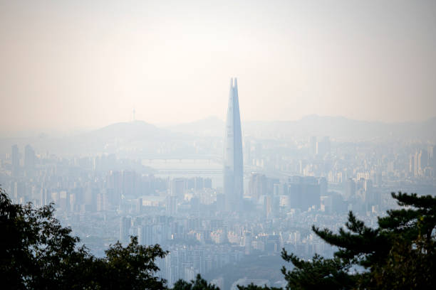 미세먼지와 환경 오염으로부터 건강을 지키는 법