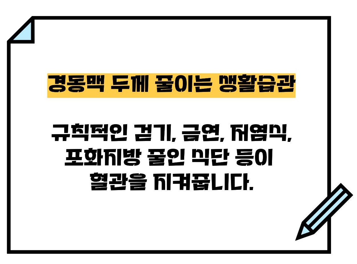 경동맥 두께 정상수치
