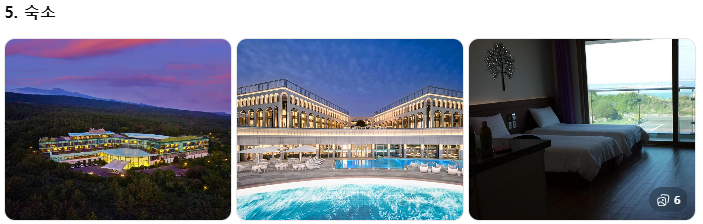 제주 쏠라티&middot;카니발 투어 비교! 기사 포함 제주 승합차투어 요금&middot;코스&middot;후기 총정리