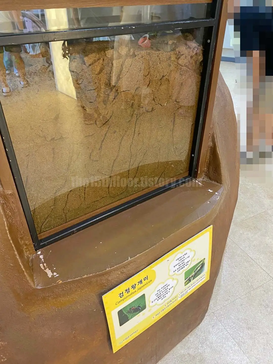 경남 의령 &amp;#39;의령 곤충생태학습관&amp;#39; (2층 &amp;#39;체험학습실&amp;#39;)