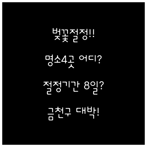 금천구 벚꽃 명소 4곳과 절정기간 4..