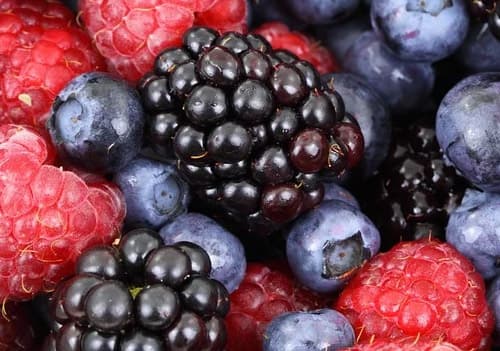 염증에 좋은 음식