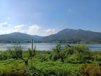 양평 가볼만한곳 베스트10 두물머리 연잎핫도그_8