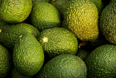 아보카도 효능&amp;#44; 먹는 방법&amp;#44; 보관법 총정리 (2024ver)