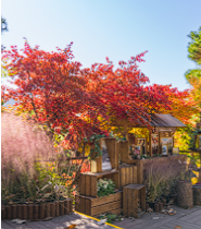 화담숲 예약 할인