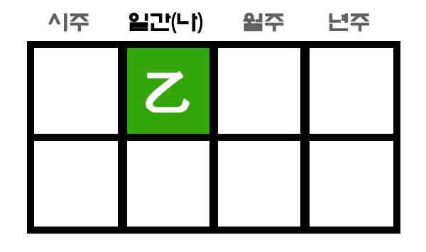 을목 일간