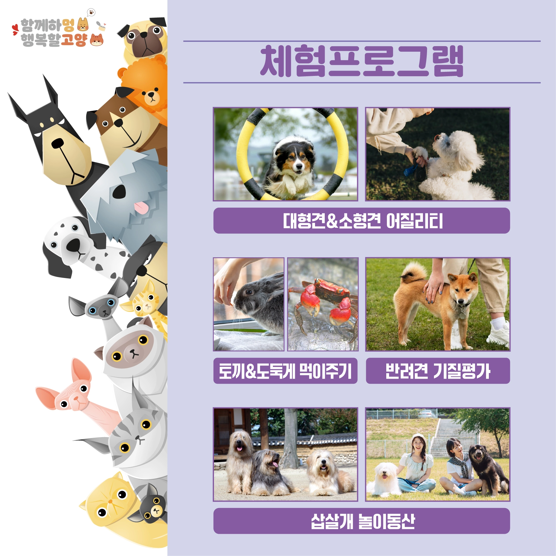 대구대학교 2024 경산 반려문화축제 소개 행사 일정 프로그램 시간 축하 공연 가수 라인업 참가 방법