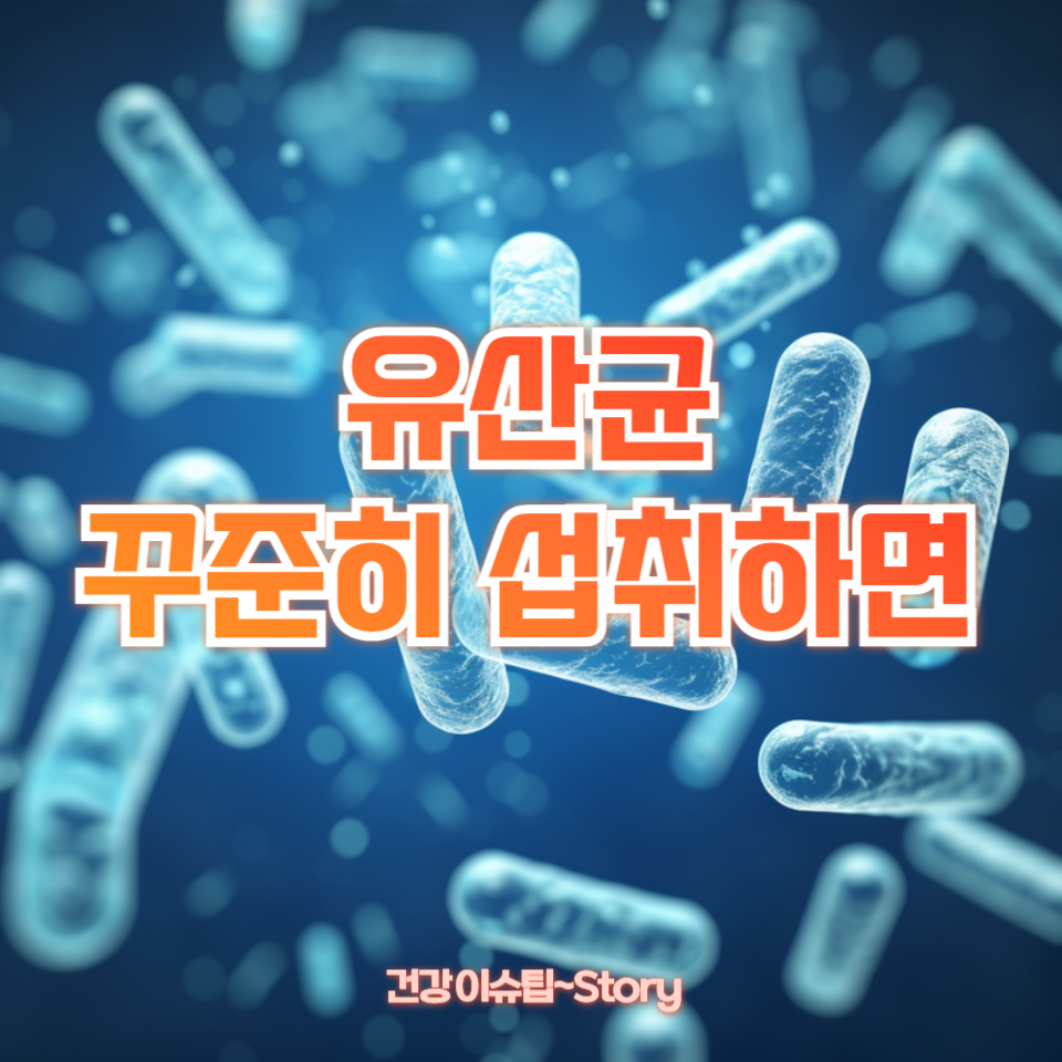 유산균 효과, 진짜일까?