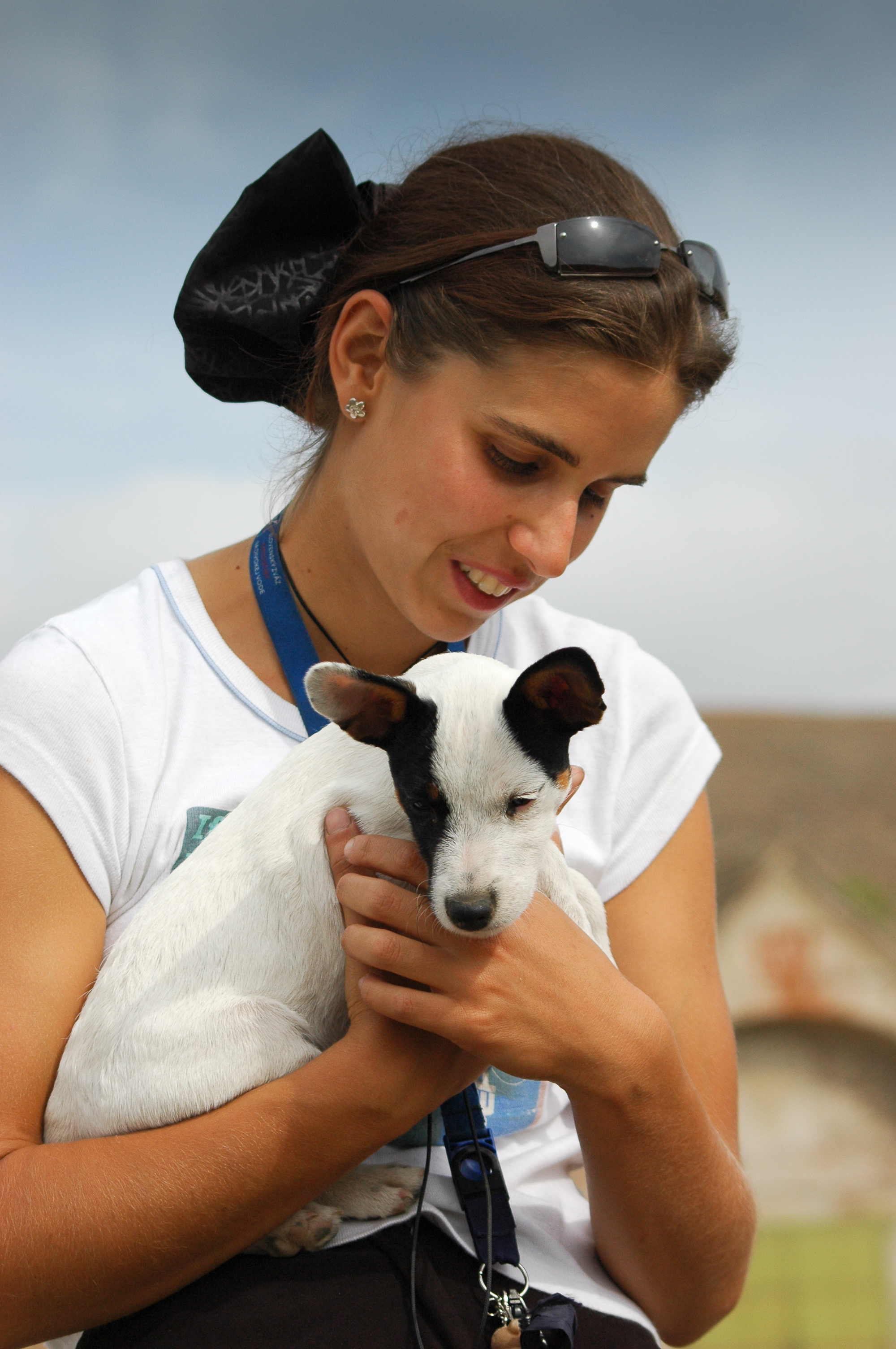 봉사활동 강아지 사진