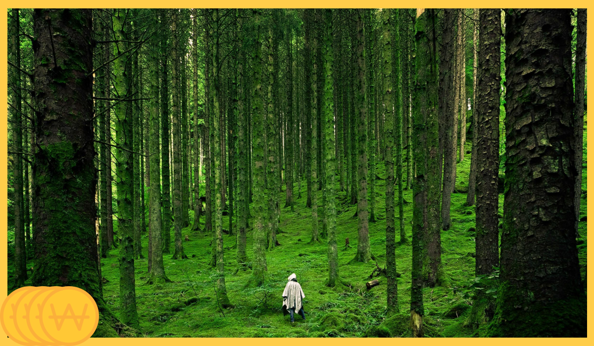 국립자연휴양림 예약방법