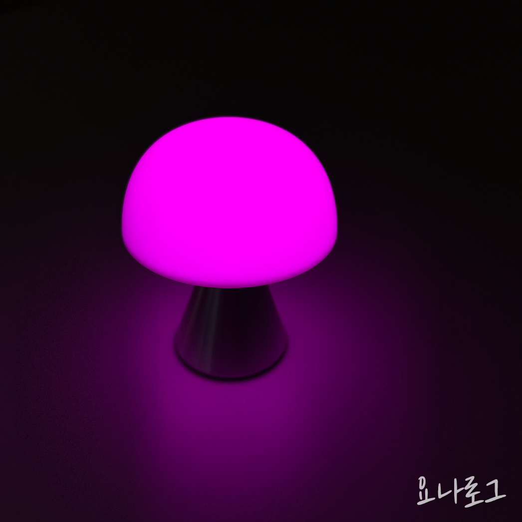 조명추천 무드등추천 인테리어 집들이 집들이선물 렉슨 렉슨미나 렉슨무드등 예쁜조명 예쁜무드등 무드등 여자친구선물 남자친구선물 대학생선물 여자친구선물추천 남자친구선물추천 오늘의집 LEXON LEXONMINA