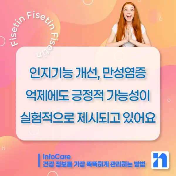 피세틴 효능 복용법